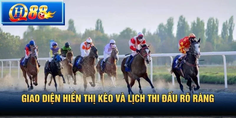 Giao diện hiển thị kèo và lịch thi đấu rõ ràng